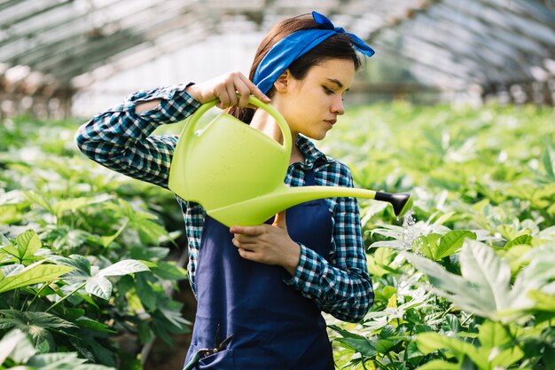 Jeune femme jardinier prenant soin des plantes en serre