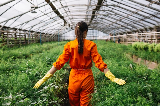 Jeune femme jardinier touchant des plantes fraîches en serre