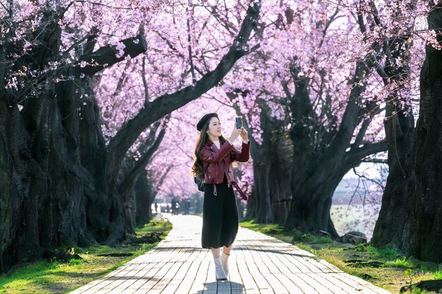 Jeune femme marchant dans le jardin de fleurs de cerisier un jour de printemps. Rangée de cerisiers en fleurs à Kyoto, Japon