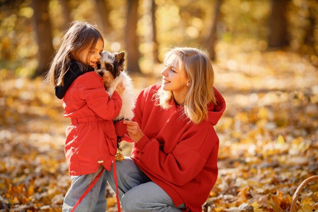 Jeune femme avec petite fille marchant dans la forêt d'automne. Une femme blonde joue avec sa fille et son chien yorkshire terrier. Mère et fille portant des jeans et des vestes rouges.