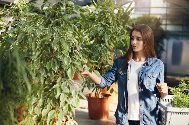 Jeune femme propriétaire d'entreprise prospère qui s'occupe des plantes dans son magasin de jardin intérieur