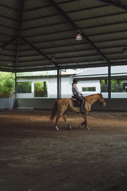 Une jeune femme s'entraîne à l'équitation dans l'arène. Jeune femme caucasienne en vêtements formels faisant de l'équitation à travers l'arène sablonneuse. Un cheval de race pour le sport équestre. La sportive à cheval