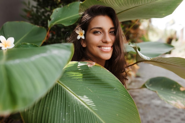 Jeune femme se couvre d'énormes feuilles vertes et regarde la caméra avec le sourire