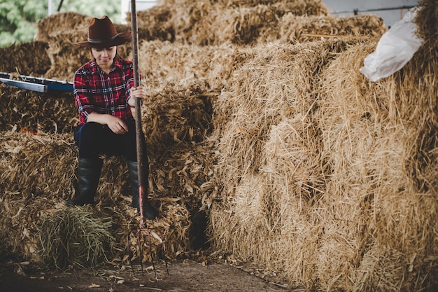 Jeune femme travaillant avec du foin pour les vaches à la ferme laitière