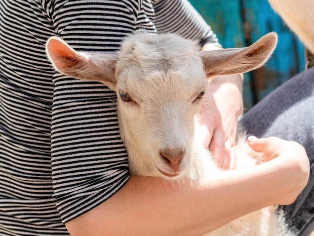Jeune fille étreignant une jeune chèvre blanche, amour pour des animaux