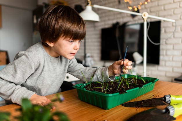 Jeune garçon à la recherche de plantes poussent à la maison