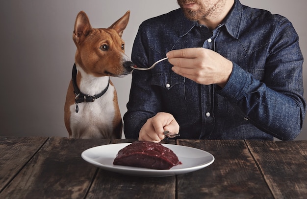 Photo gratuite jeune homme barbu partage un petit morceau de gros steak de viande de baleine de luxe cru sur une fourche vintage avec son beau chien africain. le chien sent la viande.