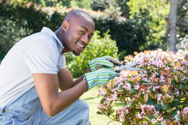 Jeune homme, couper fleurs