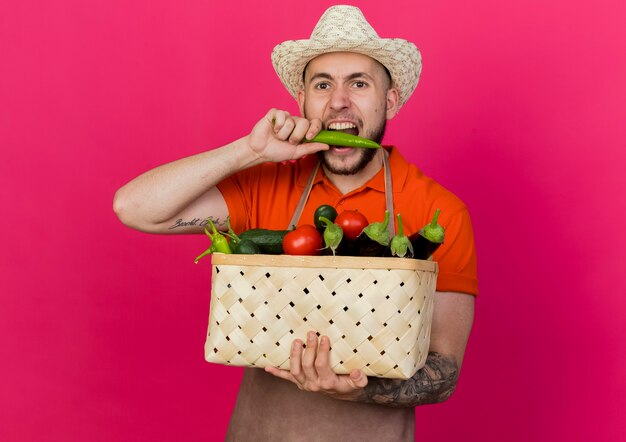 Jeune homme jardinier portant chapeau de jardinage détient un panier de légumes et fait semblant de mordre le piment