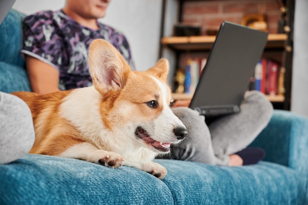 Photo gratuite jeune homme travaillant sur un ordinateur portable près d'un chien à la maison