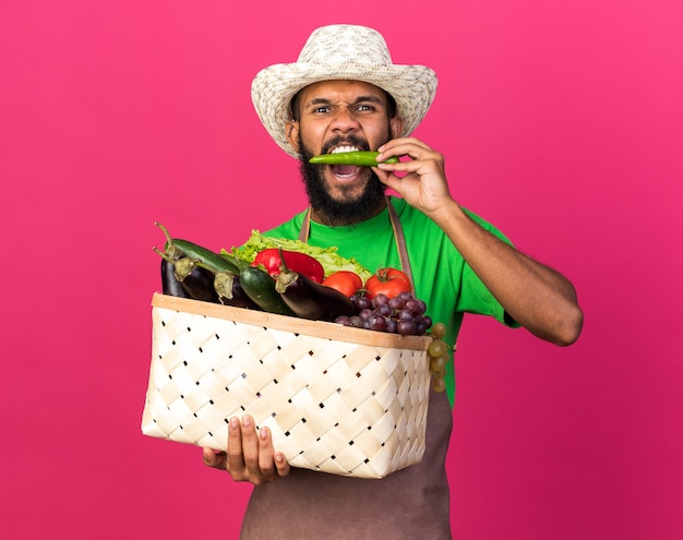 Un jeune jardinier en colère afro-américain portant un chapeau de jardinage tenant un panier de légumes mord le poivre