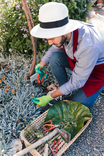 Jeune jardinier mâle récoltant la fleur dans le jardin