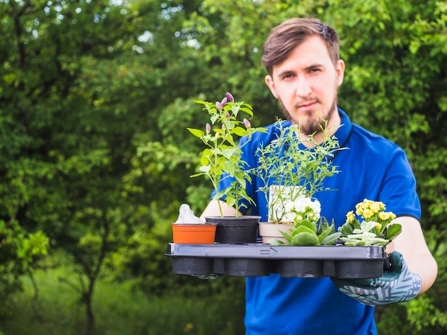 Jeune jardinier mâle tenant une caisse de plante en pot