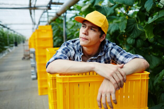 Jeune jardinier se penchant sur la pile de boîtes en plastique en serre