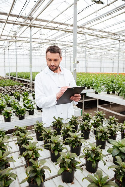 Jeune jardinier travaillant avec des plantes en serre