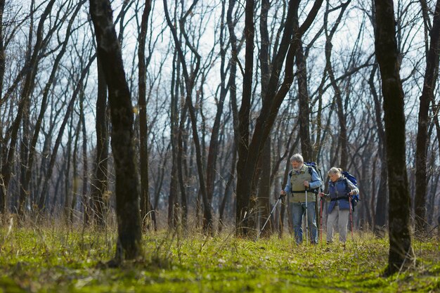 Jeunes de cœur. Couple de famille âgés d'homme et femme en tenue de touriste marchant sur la pelouse verte près des arbres en journée ensoleillée. Concept de tourisme, mode de vie sain, détente et convivialité.