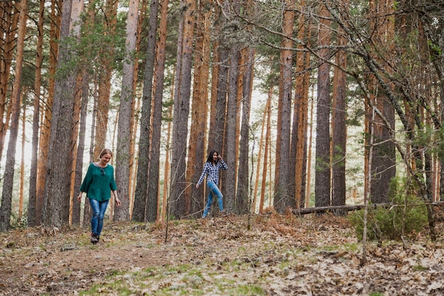 Les jeunes femmes marchent à côté des arbres dans la forêt