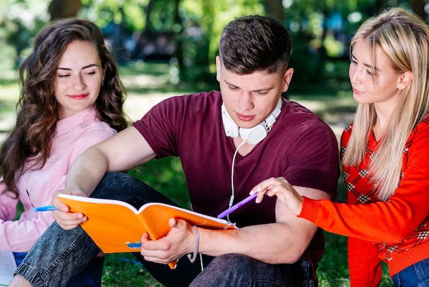 Photo gratuite jeunes gens qui étudient dans le parc