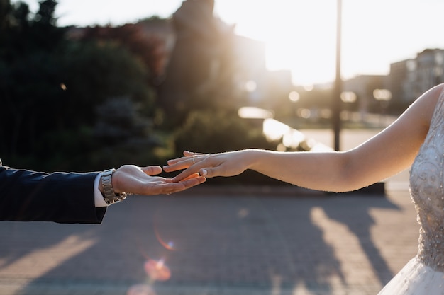 Les jeunes mariés affectueux se touchent les mains