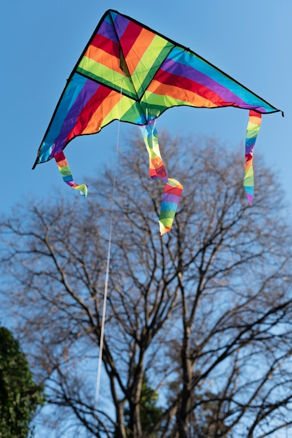 Photo gratuite les jeunes montent leur cerf-volant