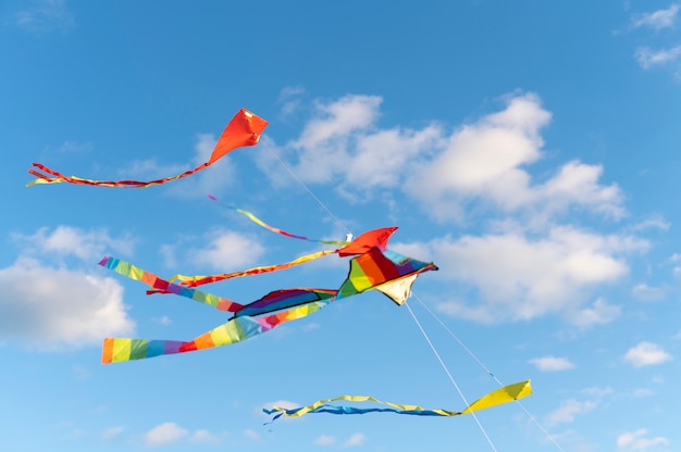 Photo gratuite les jeunes montent leur cerf-volant