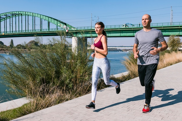 Joggers masculins et féminins exerçant dans le parc