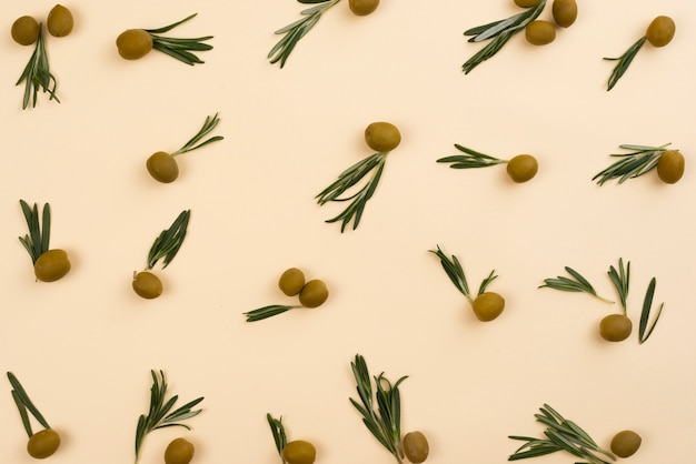 Joli arrangement de feuilles et d'olives vertes