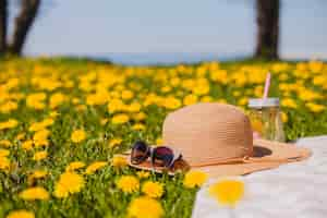 Photo gratuite joli chapeau d'été avec des lunettes de soleil sur l'herbe