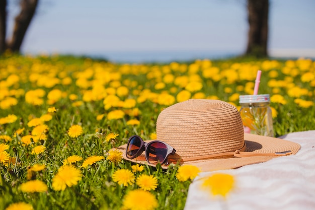 Joli chapeau d&#39;été avec des lunettes de soleil sur l&#39;herbe