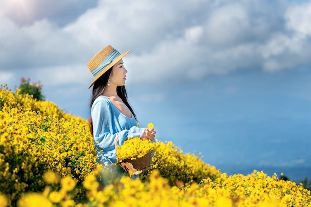 Jolie fille appréciant dans le champ de chrysanthèmes à Chiang Mai, Thaïlande