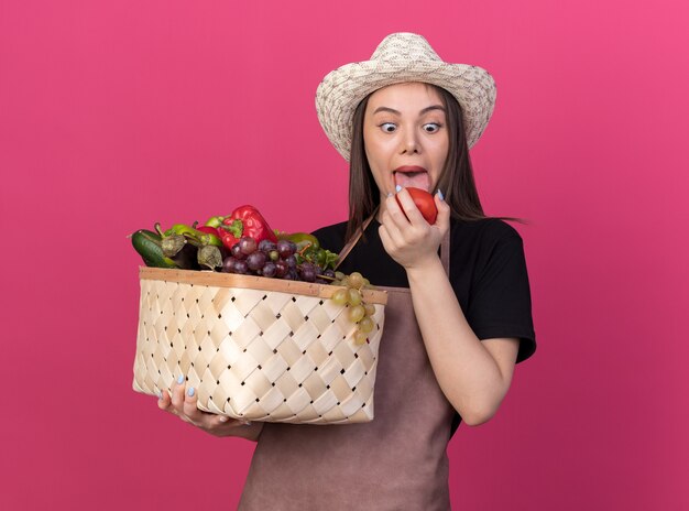 Jolie jardinière caucasienne excitée portant un chapeau de jardinage sort la langue tenant un panier de légumes et regardant la tomate