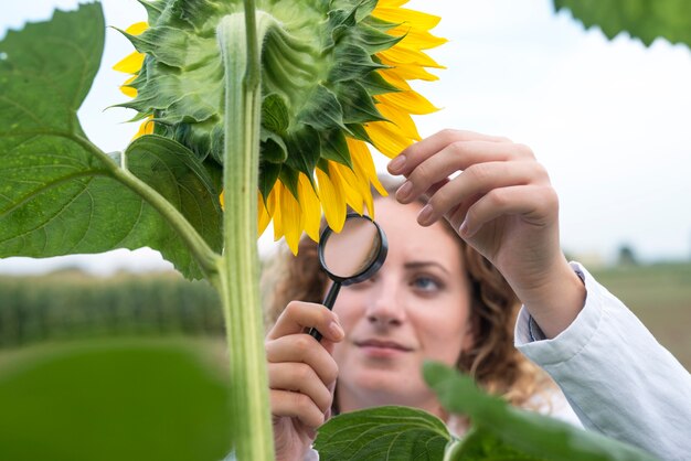 Jolie jeune agronome expert dans le champ de tournesol contrôle de la qualité des cultures