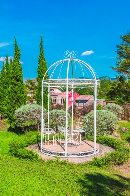 jour de jardin arbre belle pelouse