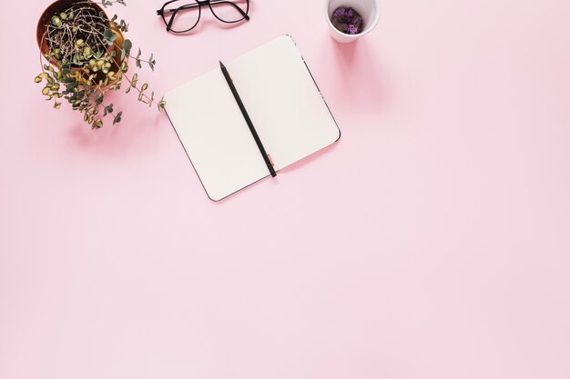 Un journal intime ouvert et un stylo sur fond rose avec du showplant