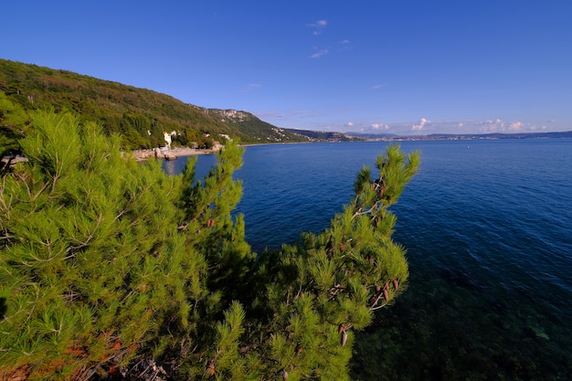 Photo gratuite une journée d'été au bord de la mer, avec une mouette