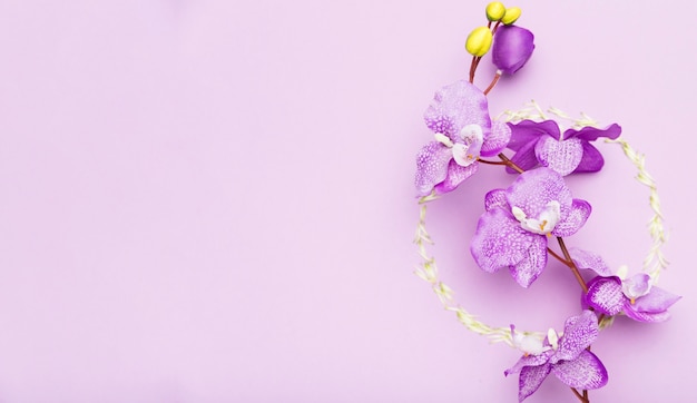 Journée internationale des femmes colorée