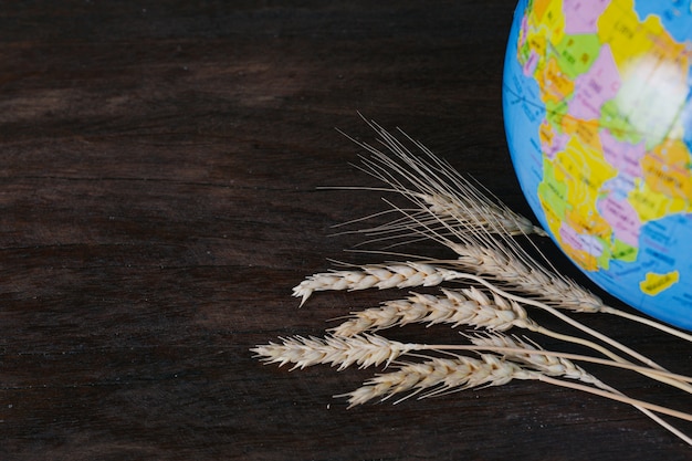 Photo gratuite la journée mondiale de l’alimentation, grains de riz et grains de riz reposant sur des planchers en bois bruns et des globes simulés côte à côte.