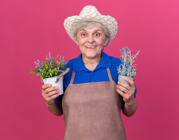 Joyeuse jardinière âgée portant un chapeau de jardinage tenant des pots de fleurs isolés sur un mur rose avec espace pour copie