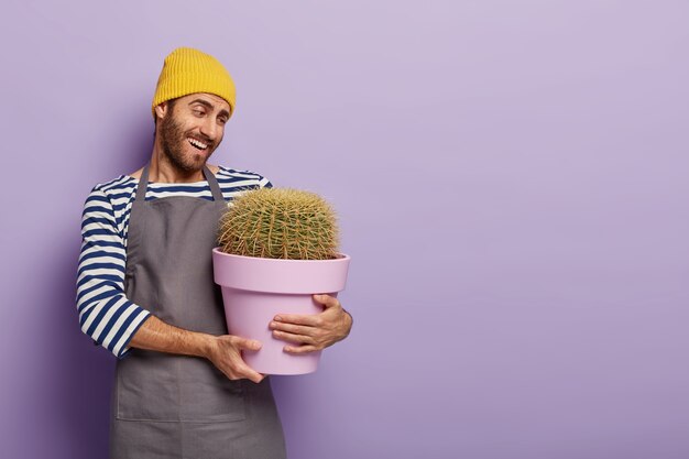 Joyeux décorateur de fleuriste attentionné tient un pot avec un gros cactus