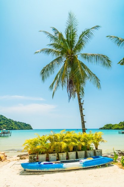 Kayak en bateau sur la belle plage tropicale