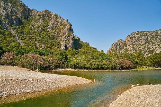 Lac avec des arbres sur l&#39;autre rive