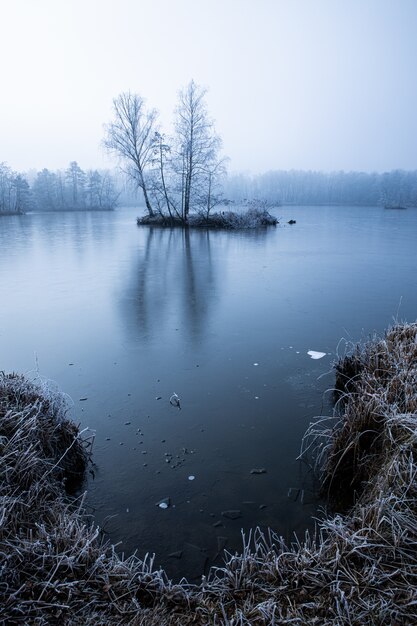 Lac couvert d'un épais brouillard avec quelques arbres poussant dans l'eau