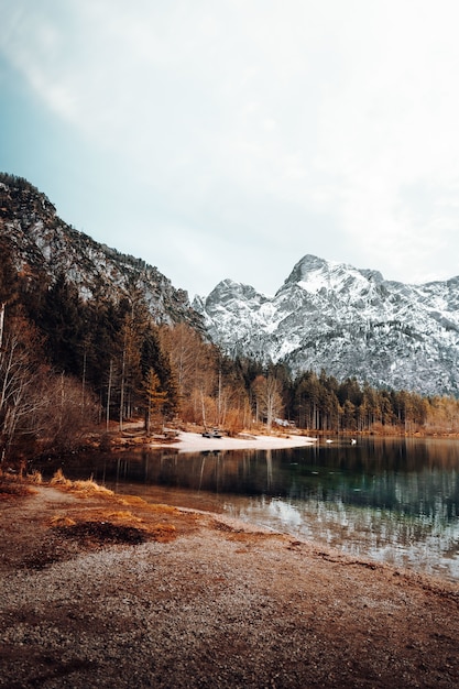 Lac entouré d'arbres et de montagnes pendant la journée