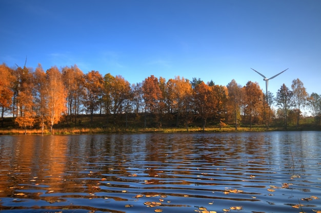 Lac avec des feuilles sèches