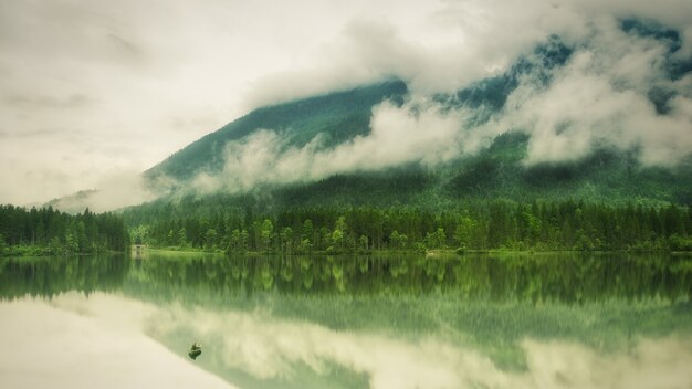 Lac en forêt