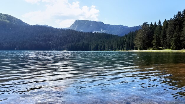 Photo gratuite lac noir au monténégro