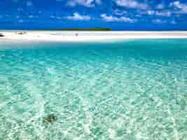 Photo gratuite lagon de tikehau en polynésie française