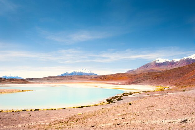 Lagon et volcans de haute altitude sur le plateau de l'altiplano, en bolivie. paysages d'amérique du sud