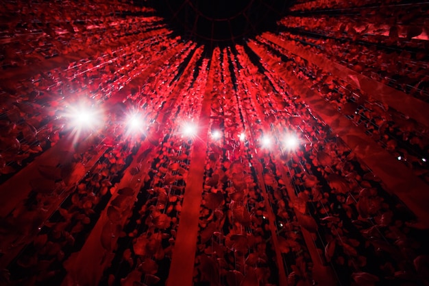 Les lampes blanches brillent à travers les fils avec des pétales de rose et des rubans rouges