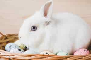 Photo gratuite lapin close-up dans le panier avec des oeufs